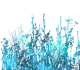 Wall Mural - Blue grass watercolor. Vector illustration