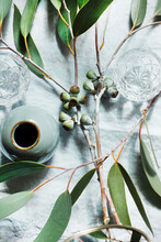 Still Life With Olive Twigs