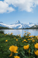landscape with lake and blue sky flower
