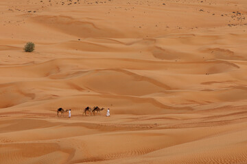 Two men with camels in the desert  and sands