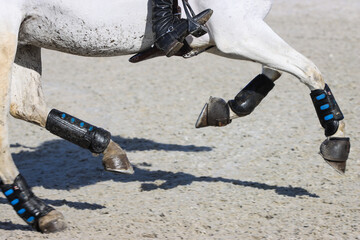 Horse riding legs close-up