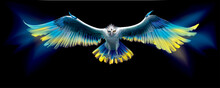Symbolic Eagle In The Colors Of Ukraine