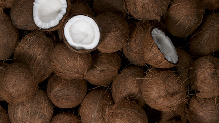 Wall Mural - Cracked coconuts falling, freeze motion, top down view