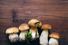 Fresh Wild Porcini Mushrooms On A Dark Brown Wooden Old Board, Top View, Copy Space	