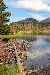 Sticker - Sprague Lake in Rocky Mountains