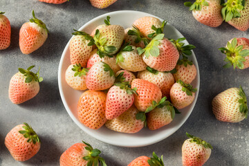 Poster - Organic Raw Pink Pineberries