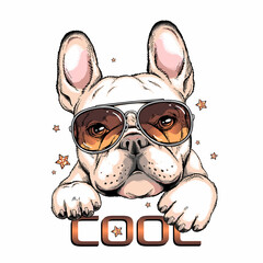 French bulldog in sunglasses. Vector illustration in hand-drawn style . Image for printing on any surface