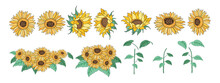 Sunflower Element Set Designed In Doodle Style, For Decorations, Cards, Postcards, Apparel Patterns, Printed Fabrics, Fashion, Scrapbook, Pillow Designs, Bags And More.
