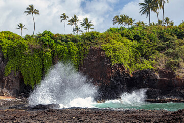 Wall Mural - Kauai Surf