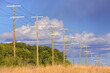 © laughingmangovideo - Row Wood Utility Pole Alberta Canada Landscape