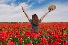 Woman In A Beautiful Field Of Red Poppy Flowers