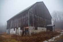 Old Grey Barn In The Fog
