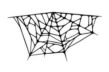 Wall Mural - Spider web isolated on white background. Spooky Halloween cobweb. Handrawn vector illustration