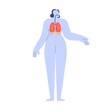 Respiratory organs system in human body. Pulmonary, bronchial anatomy with bronchi, lungs, tract. Anatomical structure. Breathing apparatus. Flat vector illustration isolated on white background