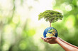 © lovelyday12 - hand holding globe with planting trees and blurry green nature ecological concept. Elements of this image furnished NASA