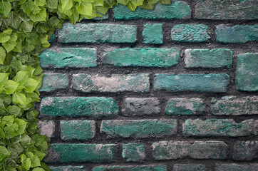 Poster - Old Texture brick wall, background, detailed pattern covered in ivy