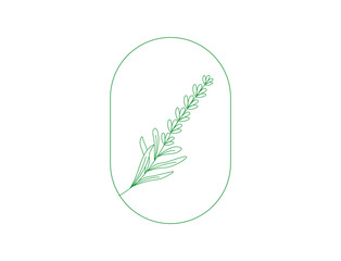 Poster - Lavender logo and branch. Hand-drawn wedding herb, plant, and monogram with elegant leaves. line art vector illustration 