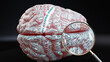 Delusional disorder in human brain, hundreds of terms related to Delusional disorder projected onto a cortex to show broad extent of this condition, 3d illustration