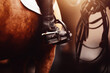 A beautiful bay horse is dressed in equestrian sports equipment - bridle, saddle, stirrup and saddlecloth, and a rider in black boots, illuminated by the sun, is riding on it. Horse riding.