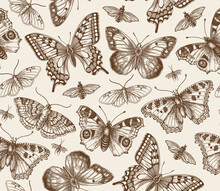 Seamless Pattern. Butterfly Butterflies Animals Moths Insect Fly Peacock Makhaon Mosquito Realistic Isolated. Vintage Fabric Background. Wallpaper. Drawing Engraving. Vector Victorian Illustration