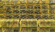 Empty Lobster And Crab Trapping Cages On The Commercial Fishing Pier