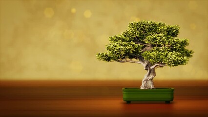 Wall Mural - Beautiful Japanese bonsai tree with empty space