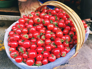 Wall Mural - Bright Cherry tomato in the basket