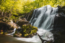 Shenandoah Waterfalls 