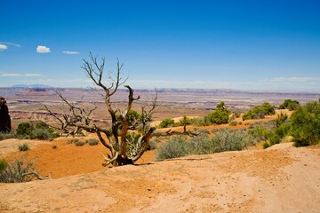 Canyonlands National Park in southeastern Utah, a dramatic desert landscape carved by the Colorado River. 