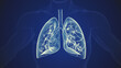 Human body with lungs respiratory system background