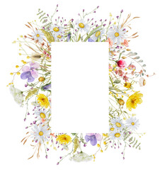 Wall Mural - Wild flowers watercolor frame botanical hand drawn illustration