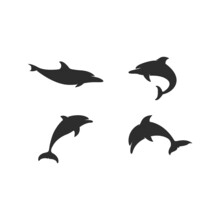 Simple Dolphin Logo Vector Icon Illustration