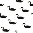 Seamless pattern black swans on white background. Cute water birds girls drawn texture, vector eps 10