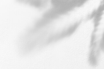 Wall Mural - Tropical leaves light shadow on white background