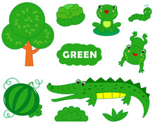 Set Of Green Items. Visual Dictionary For Children About Primary Colors. Vector Illustration