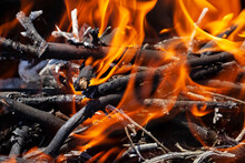 Orange Flame Of Fire While Burning Branches And Firewood