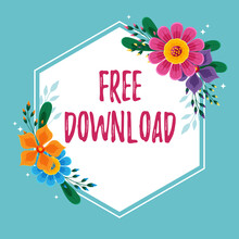 Conceptual Display Free Download. Business Showcase Key In Transfigure Initialize Freebies Wireless Images Frame Decorated With Colorful Flowers And Foliage Arranged Harmoniously.