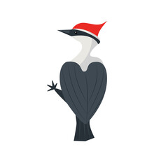 Flat Style Red Head Woodpecker Bird. Hand Drawn Vector Illustration