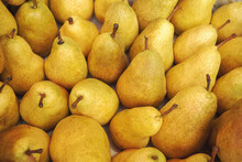 Fresh Ripe Pears As Background, Top View.