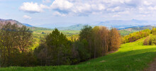 Mountainous Countryside In Early Spring. Trees On The Grassy Hillside Meadow. Ridge With High Peak In The Far Distance. Clouds On The Sky. Beautiful Nature Of Carpathians