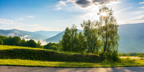 Poster - serpentine mountain road down the hill. trees meadow along the way. fog rising in the distant valley. sun above horizon. fluffy clouds on the sky. idyllic travel scenery on a summer morning