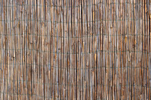 Wooden Texture Of A Bamboo Fence - Background Texture Of Palisades