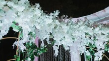 Wedding Arch Is Decorated With Floral Arrangements Of White Artificial Flowers And Sequins On Threads And Illuminated By Colorful Lights. Night Scene. Wedding Arch With Columns. Feast Day. Romance