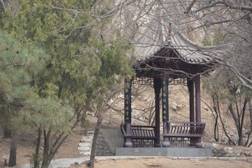 gazebo in the garden