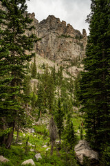 Cliffs and Pines Leading Up Toward Andrews Glacier