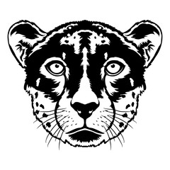 Cheetah face vector iilustration in hand drawn style, perfect for tshirt and mascot design