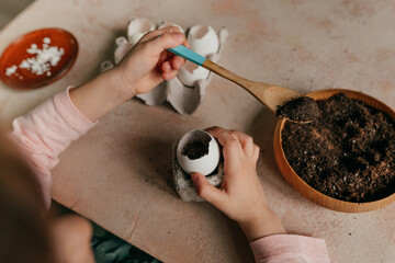 Wall Mural - Close up of little girl planting seeds in a eggshells