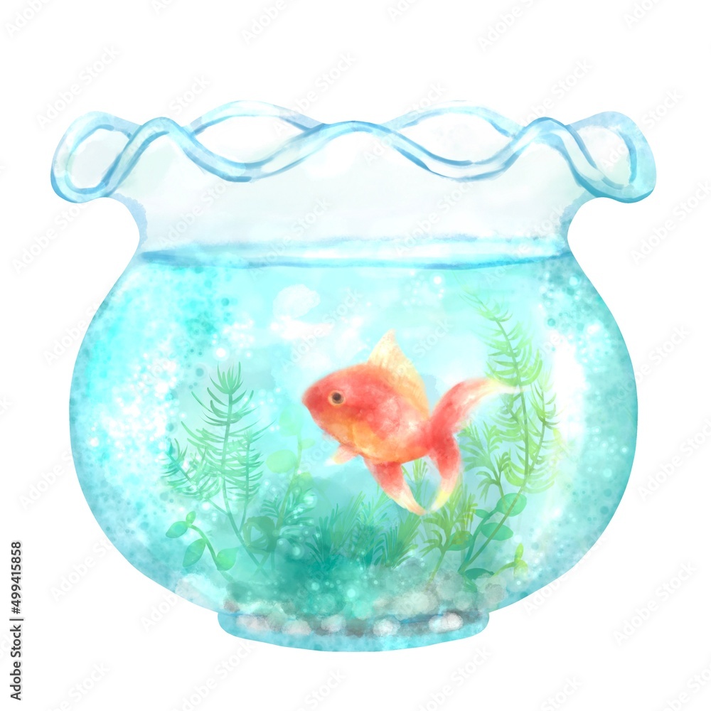 金魚鉢の中で涼しげに泳ぐ金魚 水彩イラスト素材 の Stock イラスト