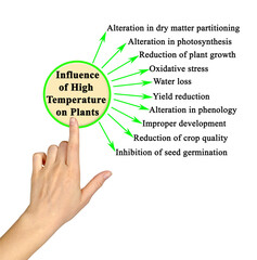 Sticker -  Influence of High Temperature on plants