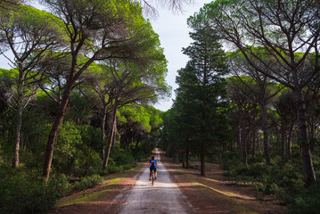 Woman riding MTB in Maremma nature reserve, Tuscany, Italy. Cycling among extensive pine forest olive trees and green woodland in natural park, dramatic coast